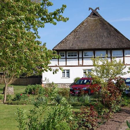 Gemuetliche Ferienwohnung Unterm Reetdach Boiensdorf Exterior photo