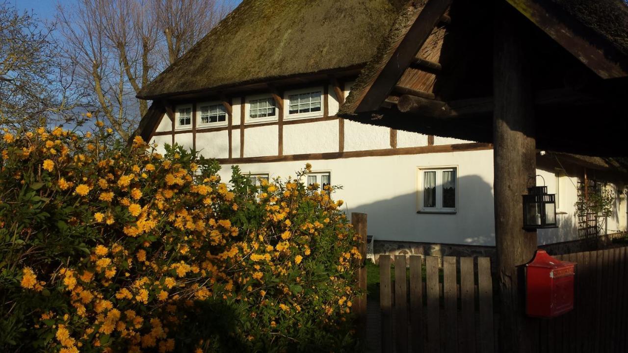 Gemuetliche Ferienwohnung Unterm Reetdach Boiensdorf Exterior photo