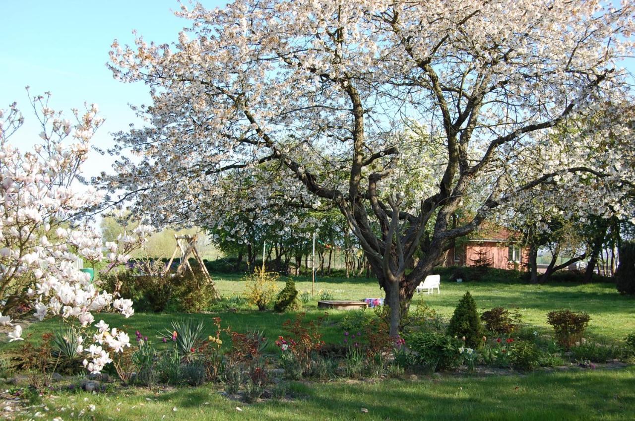 Gemuetliche Ferienwohnung Unterm Reetdach Boiensdorf Exterior photo