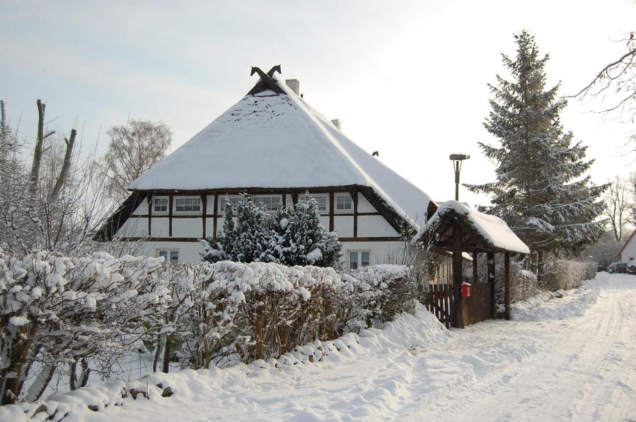 Gemuetliche Ferienwohnung Unterm Reetdach Boiensdorf Exterior photo