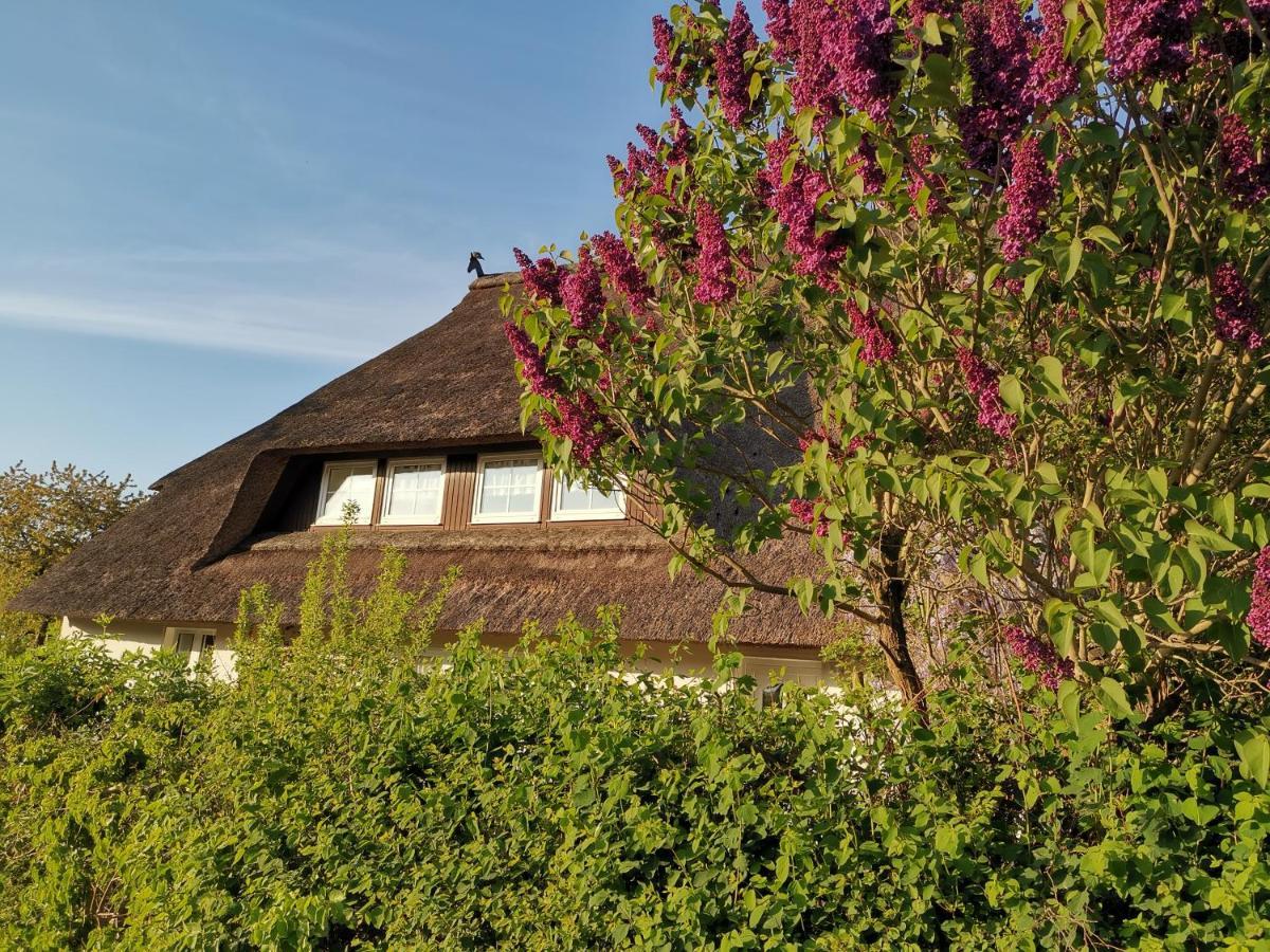 Gemuetliche Ferienwohnung Unterm Reetdach Boiensdorf Exterior photo