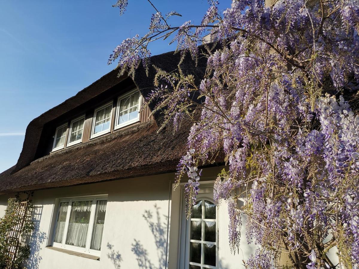 Gemuetliche Ferienwohnung Unterm Reetdach Boiensdorf Exterior photo