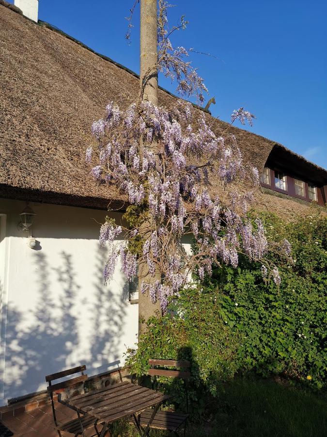 Gemuetliche Ferienwohnung Unterm Reetdach Boiensdorf Exterior photo